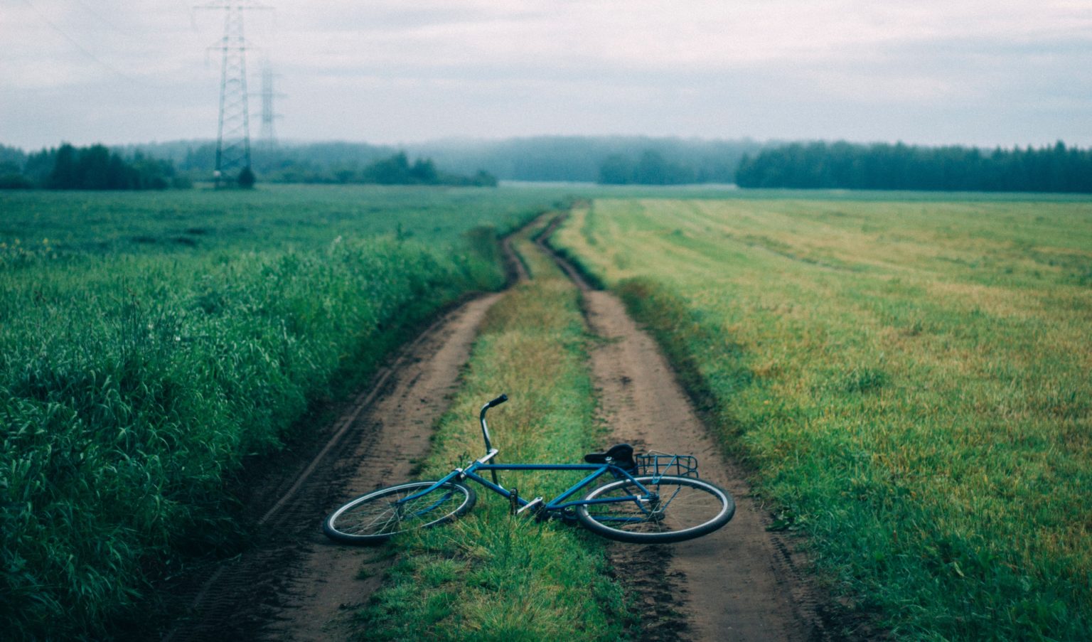 1 6 Promille Auf Dem Fahrrad